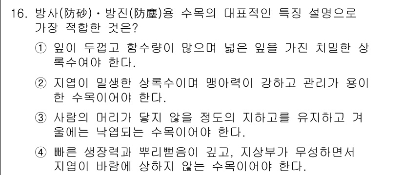 조경기능사 2015년 16번 - 정답 '5'는 방사 및 방진용 수목의 특징을 잘 설명하고 있습니다. 방사... 에 관한 핵심 기출문제