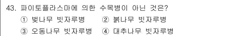 조경기능사 2015년 43번 - '오동나무 빛자루병'은 파이토플라스마에 의해 발생하지 않는 수목병입니다.... 에 관한 핵심 기출문제
