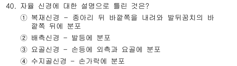 미용사(네일) 2015년 40번 - '수지골신경'은 손가락에 분포하는 신경으로, 손가락의 감각과 운동 기능을... 에 관한 핵심 기출문제