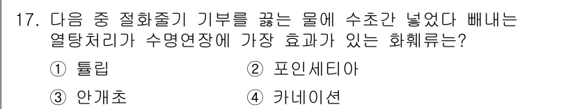 화훼장식기능사 2015년 17번 - 알 수 없는 정답인 이유는 각 화훼 종류의 열탕 처리 효과가 상황에 따라... 에 관한 핵심 기출문제