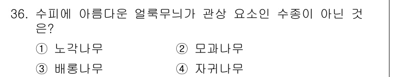 조경기능사 2016년 36번 - . 노각나무는 수목의 형태와 아름다움에서 관상용으로 적합하지 않은 특징을... 에 관한 핵심 기출문제