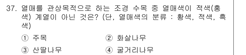 조경기능사 2016년 37번 - 열매를 관상용으로 하는 조경 수목 중에서 열매색이 적색(홍색)이 아닌 것... 에 관한 핵심 기출문제