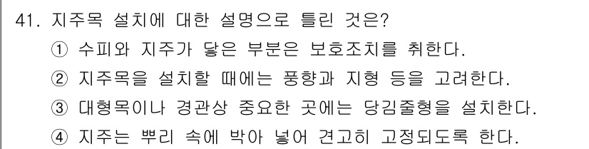 조경기능사 2016년 41번 - 지주목은 특별한 구조물로, 특정한 지지 조건을 고려하여 설치해야 하며, ... 에 관한 핵심 기출문제