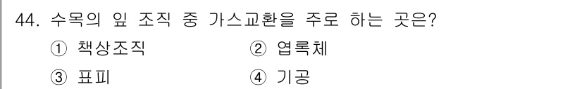 조경기능사 2016년 44번 - . 책상조직  
해설: 수목의 잎 조직에서 가스를 교환하는 주요 구조물은... 에 관한 핵심 기출문제