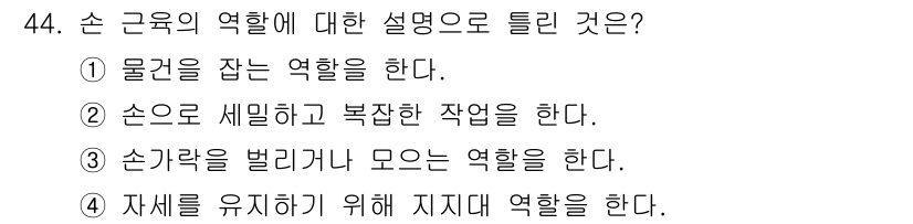 미용사(네일) 2016년 44번 - 손 근육은 물건을 잡고 조작하는 역할보다 세부적인 움직임과 자세의 유지에... 에 관한 핵심 기출문제