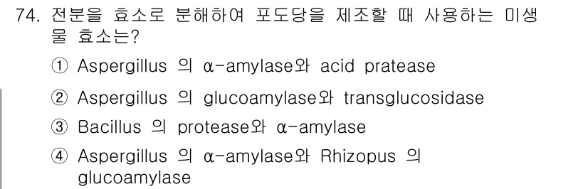 식품안전기사 2016년 74번 - . 

Aspergillus 속의 효소는 다양한 전분 분해 효소를 생산할... 에 관한 핵심 기출문제