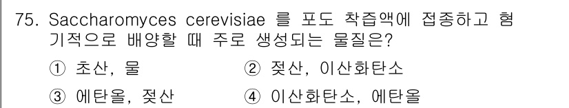 식품안전기사 2016년 75번 - Saccharomyces cerevisiae가 발효 과정에서 주로 생성하... 에 관한 핵심 기출문제