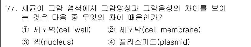 식품안전기사 2016년 77번 - 3. 세균의 그람 염색에서 그람양성균과 그람음성균의 차이는 주로 세포벽(... 에 관한 핵심 기출문제