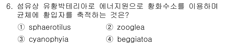 수질환경기사 2016년 7번 - . beggiatoa  
해설: Beggiatoa는 황화수소를 산화하여 ... 에 관한 핵심 기출문제