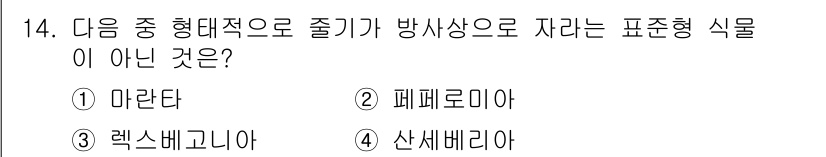 화훼장식기능사 2016년 14번 - 정답은 3번 렉스배고니아입니다. 렉스배고니아는 주로 관상용 식물로, 방사... 에 관한 핵심 기출문제