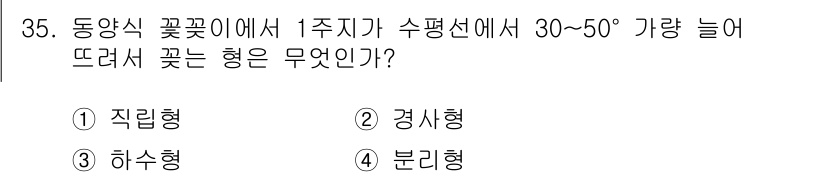 화훼장식기능사 2016년 35번 - . 경시형

경시형 꽃은 수평선에서 30~50° 각도로 뜨면서 꽃이 피어... 에 관한 핵심 기출문제