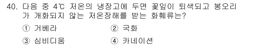 화훼장식기능사 2016년 40번 - . 커네이션

커네이션은 4°C 저온에서 꽃잎이 휘어지고 변색 되는 경향... 에 관한 핵심 기출문제