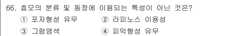 식품안전기사 2017년 66번 - 그람 염색은 세균의 분류 방법 중 하나로, 효모는 그람 염색에서 구분되지... 에 관한 핵심 기출문제