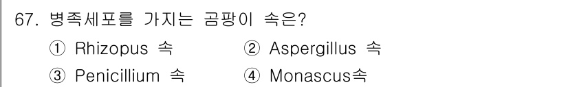 식품안전기사 2017년 67번 - . Rhizopus 속

Rhizopus 속은 일반적으로 식품에서 병원성... 에 관한 핵심 기출문제