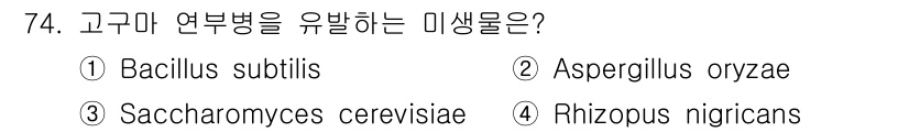 식품안전기사 2017년 74번 - 고구마 연부병은 주로 **Rhizopus nigricans**에 의해 유... 에 관한 핵심 기출문제