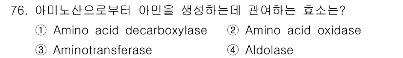 식품안전기사 2017년 76번 - 아미노산으로부터 아민을 생성하는 효소는 아미노산 산 decarboxyla... 에 관한 핵심 기출문제