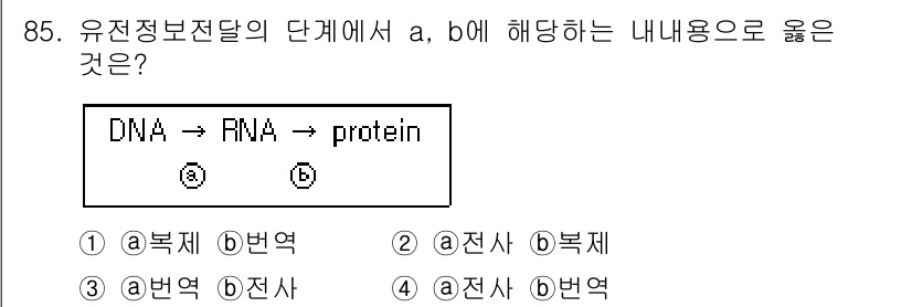 식품안전기사 2017년 85번 - . 

유전정보전달의 단계는 DNA에서 RNA, 그리고 단백질로 이어지는... 에 관한 핵심 기출문제