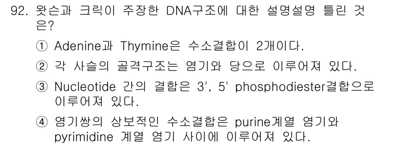 식품안전기사 2017년 92번 - 정답 4번은 DNA 구조에서 염기 쌍 간의 상보적인 수소 결합에 대한 설... 에 관한 핵심 기출문제
