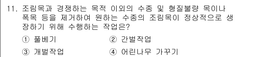 산림기능사 2015년 11번 - 정답은 4번 '어린나무 가꾸기'입니다. 어린나무 가꾸기는 조림목과 경쟁하... 에 관한 핵심 기출문제