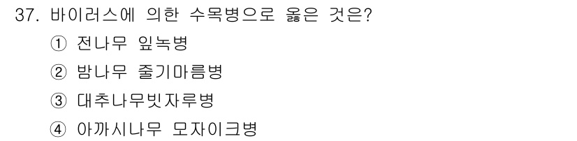 산림기능사 2015년 37번 - . 아까시나무 모자이크병은 바이러스에 의해 발생하는 수목병으로, 식물의 ... 에 관한 핵심 기출문제