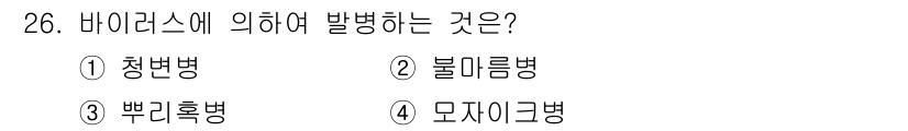 산림기능사 2016년 26번 - 4. 모자이크병은 바이러스에 의해 발생하는 식물병으로, 주로 잎사귀에 띠... 에 관한 핵심 기출문제