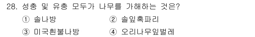 산림기능사 2016년 28번 - 정답은 3번, 미국흰불바입니다. 미국흰불바는 성충 및 유충 모두가 나무를... 에 관한 핵심 기출문제