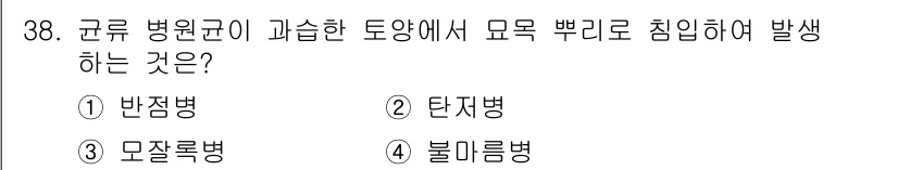 산림기능사 2016년 38번 - 정답은 1번 반점병입니다. 반점병은 균류 병원균이 식물의 조직에 침입하여... 에 관한 핵심 기출문제