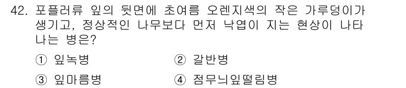 산림기능사 2016년 42번 - . 읽는병  
읽는병은 포플러의 잎 뒷면에 발생하며, 초여름에 작은 가루... 에 관한 핵심 기출문제