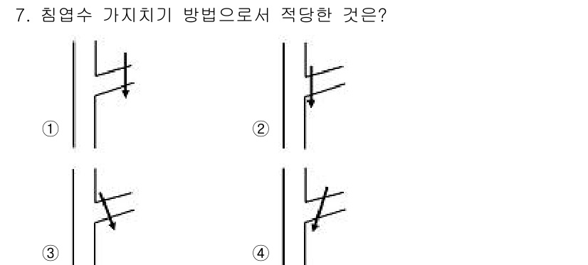 산림기능사 2016년 7번 - . 

해설: 침엽수 가지치기 방법으로는 치유를 촉진하고 병해충의 발생을... 에 관한 핵심 기출문제