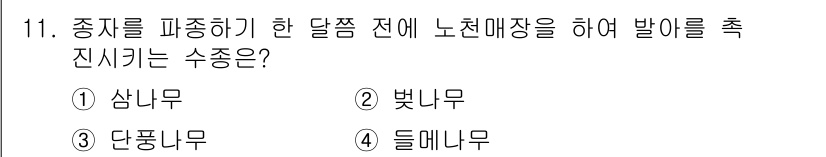 산림기사 2016년 11번 - 정답은 3번 단풍나무입니다. 단풍나무는 종자를 파종하기 전에 낙엽을 통해... 에 관한 핵심 기출문제