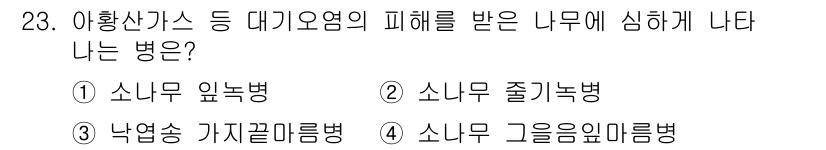 산림기사 2016년 23번 - 정답은 2. 소나무 줄기녹병입니다. 이 병은 소나무에 줄기와 가지에 영향... 에 관한 핵심 기출문제