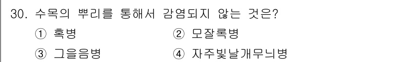 산림기사 2016년 30번 - 자줏빛낮게무늬병은 수목의 껍질을 통해 감염되지 않고, 주로 잎이나 줄기 ... 에 관한 핵심 기출문제