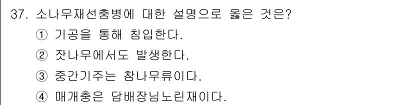 산림기사 2016년 37번 - 소나무재선충병은 주로 소나무의 기공을 통해 침입하며, 이로 인해 나무가 ... 에 관한 핵심 기출문제