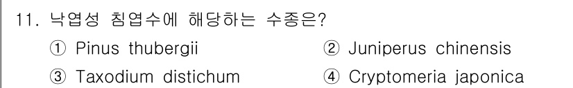 산림기사 2017년 11번 - 낙엽성 침엽수에 해당하는 수종은 **Taxodium distichum**... 에 관한 핵심 기출문제