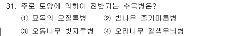 산림기사 2017년 31번 - 오리나무 갈색무늬병은 주요 토양 병해로 인해 발생하며, 병원균이 뿌리와 ... 에 관한 핵심 기출문제