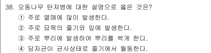 산림기사 2017년 38번 - 오담나무 탄저병은 주로 열매에 병징이 나타나며, 이에 따라 병이 진행됩니... 에 관한 핵심 기출문제