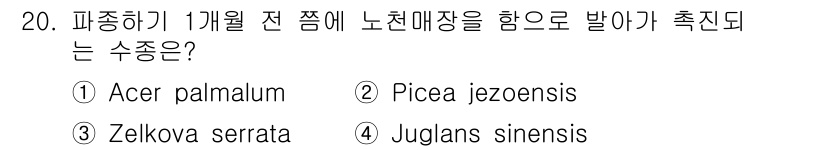 산림산업기사(구60문항) 2015년 20번 - 정답은 2번 Picea jezoensis입니다. 이 수종은 일본잎갈나무로... 에 관한 핵심 기출문제