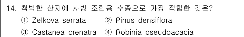 산림산업기사(구60문항) 2016년 14번 - 정답은 4번 로비니아(Pseudodacacia)입니다. 로비니아는 내구성... 에 관한 핵심 기출문제