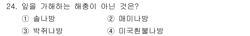 산림산업기사(구60문항) 2016년 24번 - 4번 '미국흰불내방'은 미국흰불내가 아닌 다른 종류의 해충을 의미하며, ... 에 관한 핵심 기출문제