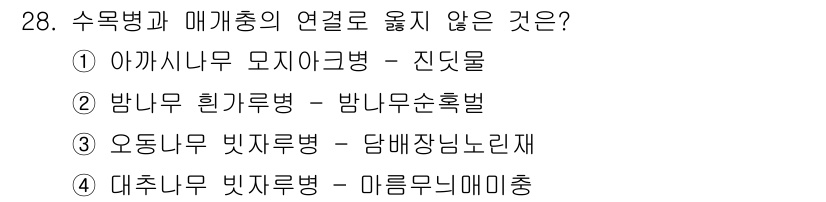 산림산업기사(구60문항) 2016년 28번 - 수목병과 매개충의 연결로 옮지 않는 것은 ③ 오등변 빛자루병 - 담배잎장... 에 관한 핵심 기출문제