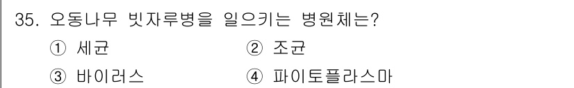 산림산업기사(구60문항) 2016년 35번 - . 세균  
오동나무 빗자루병은 세균에 의해 발생하는 질병으로, 그 특정... 에 관한 핵심 기출문제