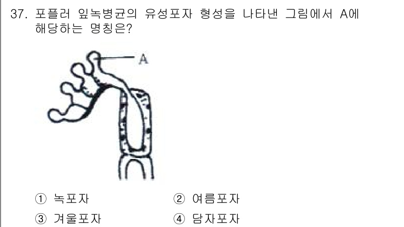 산림산업기사 2016년 37번 - A는 상부에서 잎의 물과 영양분의 이동을 담당하는 부분으로, 주로 두꺼운... 에 관한 핵심 기출문제