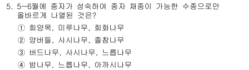 산림산업기사 2016년 5번 - 5~6월에 종자가 성숙하는 종자 채취가 가능한 수종으로는 밤나무, 느릅나... 에 관한 핵심 기출문제