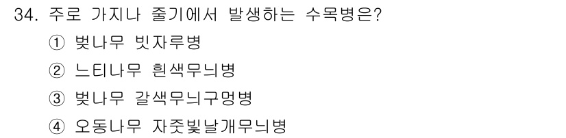 산림산업기사(구60문항) 2017년 34번 - 주로 가지나 줄기에서 발생하는 수목병은 3번, "벚나무 갈색무늬병"입니다... 에 관한 핵심 기출문제