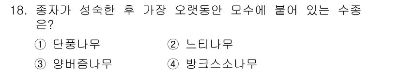 산림산업기사 2017년 18번 - 정답 2. 느티나무는 성숙한 후 가지와 오랫동안 모수에 붙어 있는 특성을... 에 관한 핵심 기출문제