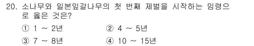 산림산업기사 2017년 20번 - 소나무와 일본잎갈나무의 첫 번째 재벌을 시작하는 임령은 일반적으로 4~5... 에 관한 핵심 기출문제