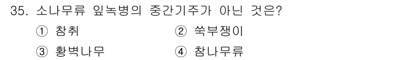 산림산업기사 2017년 35번 - 소나무류 잎녹병의 중간기주가 아닌 것은 '참나무류'입니다. 왜냐하면 소나... 에 관한 핵심 기출문제