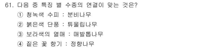 조경기사 2016년 61번 - 진한 꽃 향기는 정향나무와 관련이 있으며, 이 나무는 독특한 꽃 향기로 ... 에 관한 핵심 기출문제