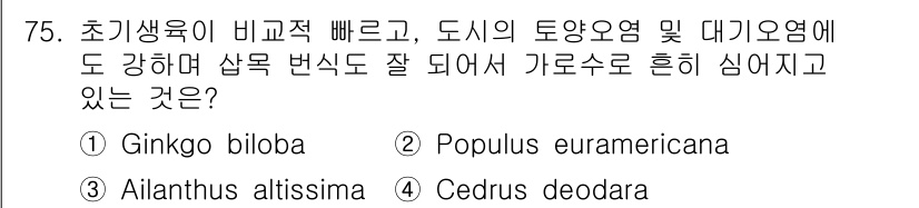 조경기사 2016년 75번 - 정답은 1. Ginkgo biloba입니다. Ginkgo biloba는 ... 에 관한 핵심 기출문제