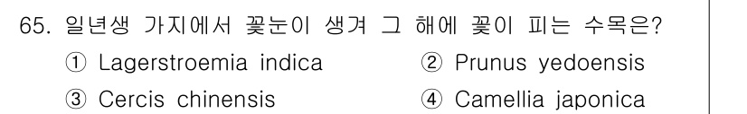 조경기사 2017년 66번 - 정답은 3번, Cercis chinensis입니다. 이 식물은 일년생 가... 에 관한 핵심 기출문제